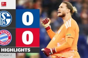 Ренн 1:0 Олимпик Марсель. Ліга 1. Видео